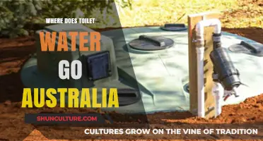 Where Does Toilet Water Go in Australia: A Journey Through the System
