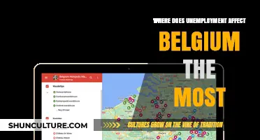 Unemployment Hotspots in Belgium: A Regional Analysis