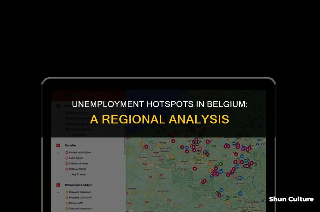 where does unemployment affect belgium the most