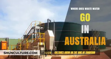Australia's Wastewater Journey: From Homes to Treatment and Beyond