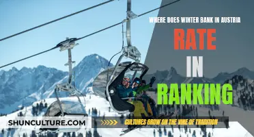 Winter Bank in Austria: Ranking and Review