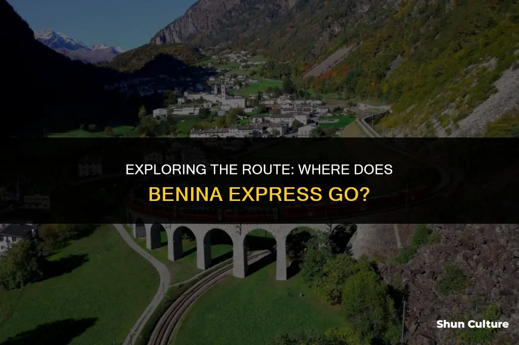 where dpes benina express go