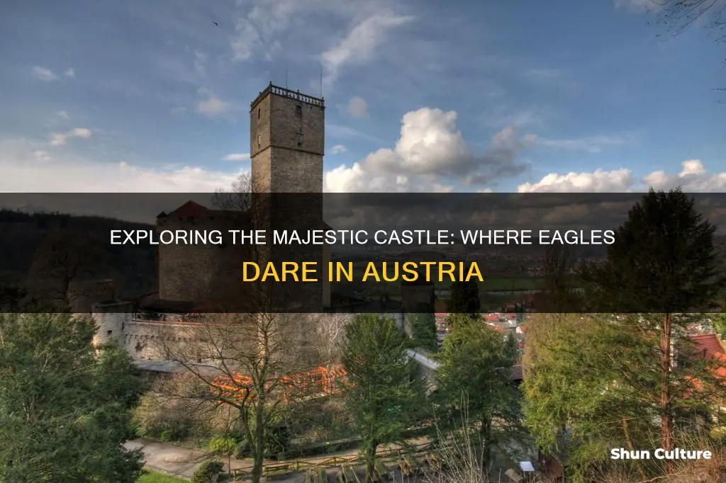 where eagles dare castle austria