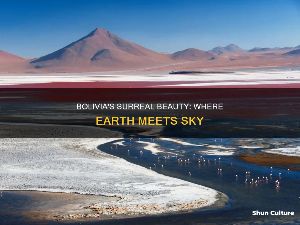 where earth meets sky bolivia