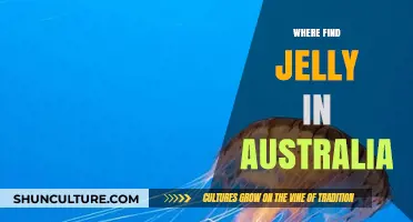 Exploring Australia: Where to Find the Best Jelly