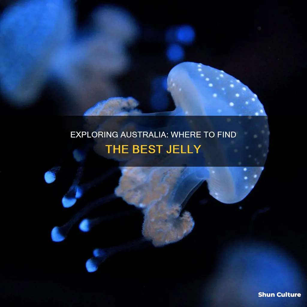 where find jelly in australia