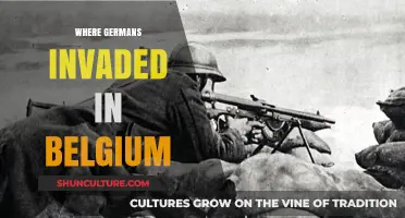 The Historical Invasion: Germany's Advance into Belgium