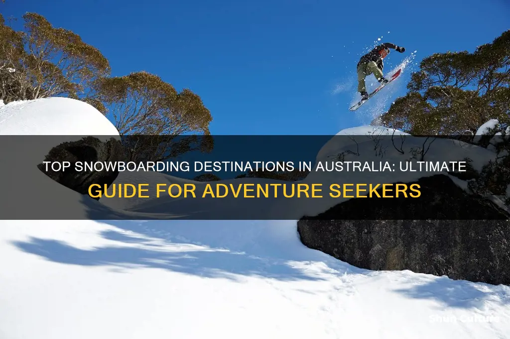 where go snowboarding australia