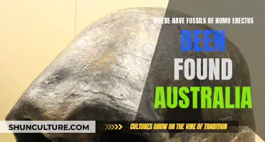 Hominin History: Homo Erectus in Australia