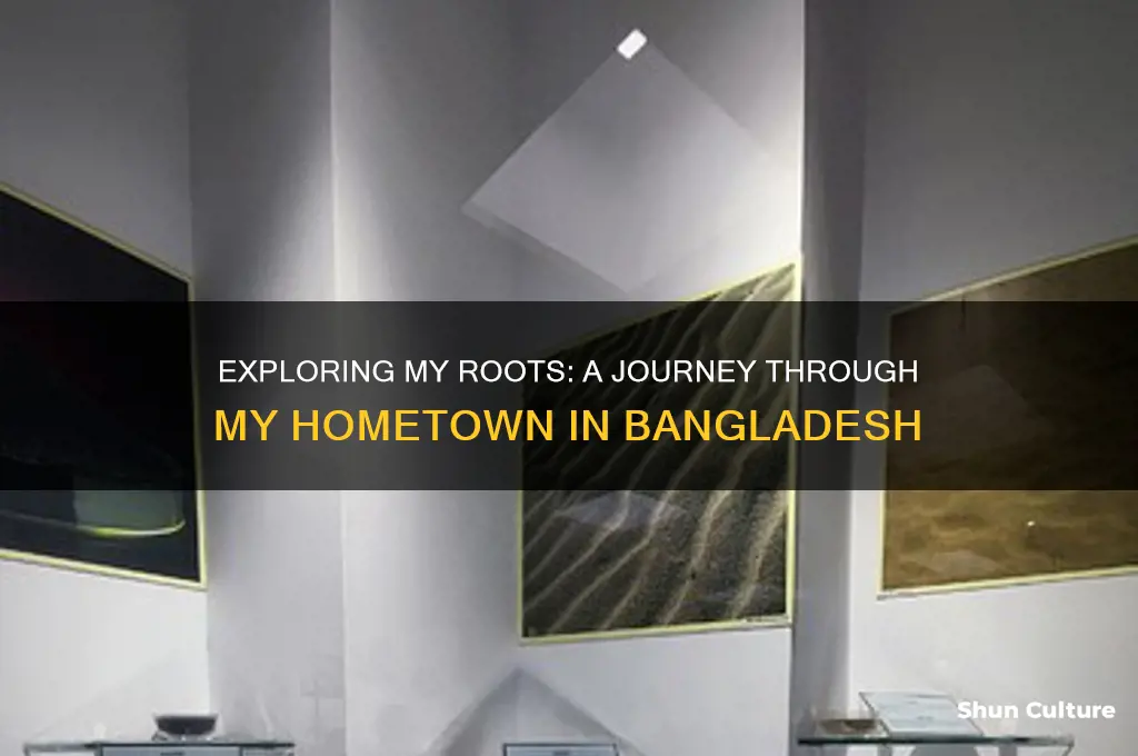 where I am from in bangladesh