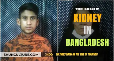 Selling Your Kidney in Bangladesh: Legal, Ethical, and Safe Options Explained