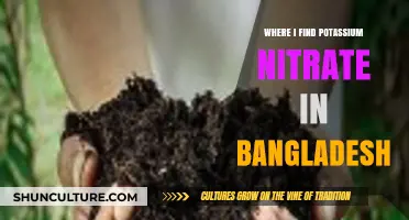 Discovering Potassium Nitrate Sources in Bangladesh: A Comprehensive Guide
