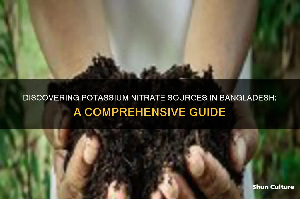 where I find potassium nitrate in bangladesh