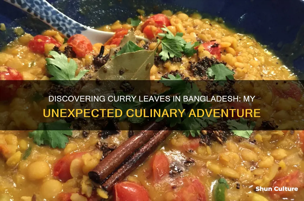 where I found curry leaves in bangladesh