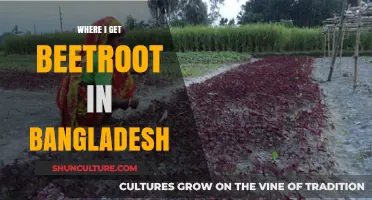 Discovering Beetroot in Bangladesh: Local Markets and Online Sources