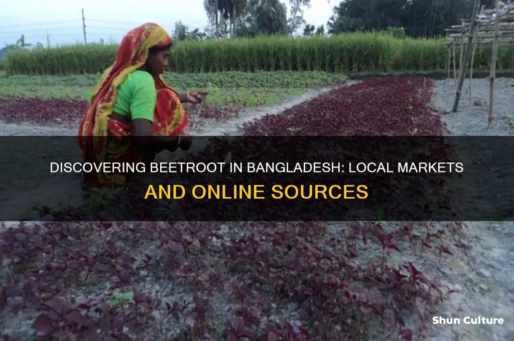 where I get beetroot in bangladesh