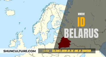 Belarus' Geographical Location: A Comprehensive Overview