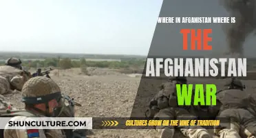 The Shifting Sands of War: Unraveling the Complexities of Afghanistan's Battlefields