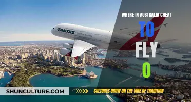 Aussie Pilots' Cheating Scandal: Flying Under the Radar