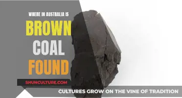 Brown Coal Deposits: Australia's Abundant Energy Source