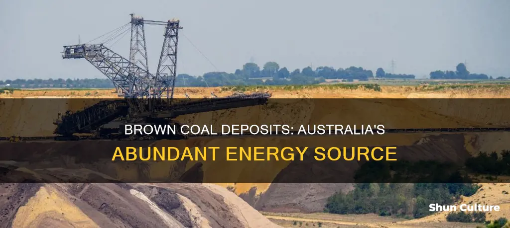where in australia is brown coal found