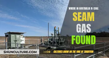 Coal Seam Gas: Australia's Regional Deposits Explored