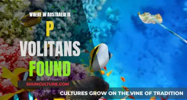 Exploring P. Volitans' Unique Habitat in Australia