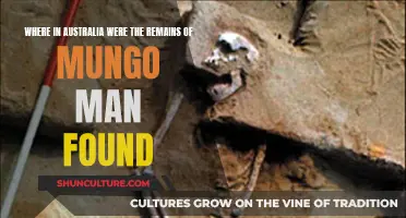 Uncovering Mungo Man's Remains in Australia's Dry Lake Region