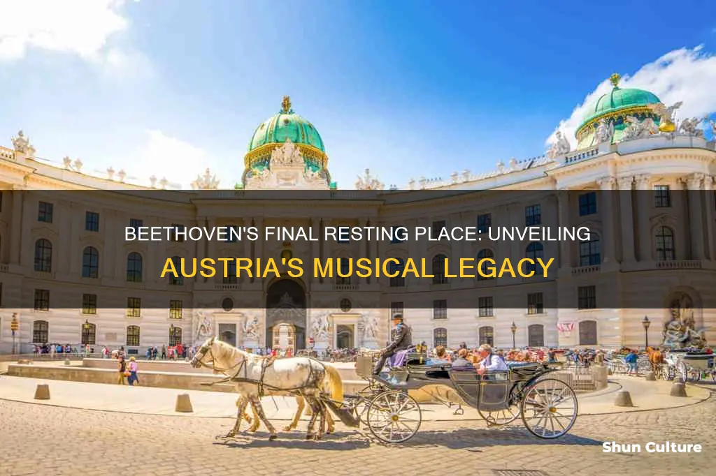 where in austria did beethoven die