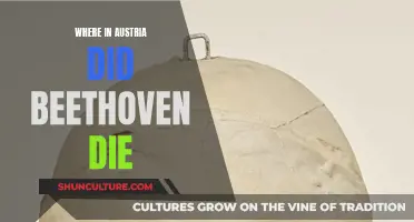 Beethoven's Final Days in Vienna, Austria