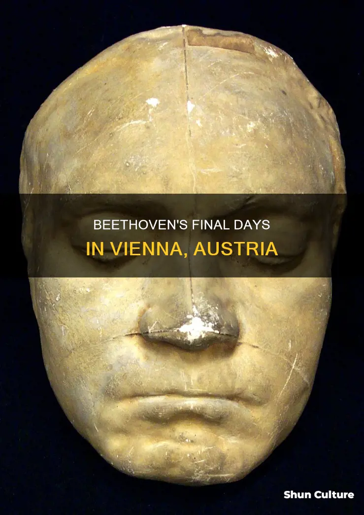 where in austria did beethoven die