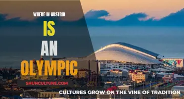 Austria's Olympic Legacy: Where Champions Are Born
