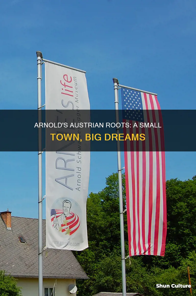where in austria is arnold from
