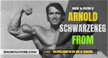 Arnold Schwarzenegger's Austrian Roots: A Journey to His Homeland