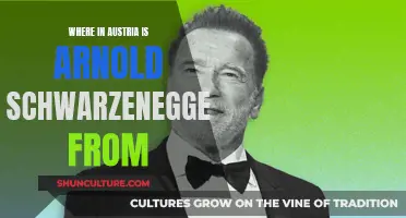 Arnold Schwarzenegger's Austrian Roots: Graz to California