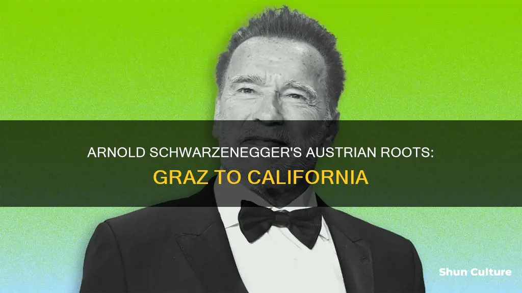 where in austria is arnold schwarzenegger from
