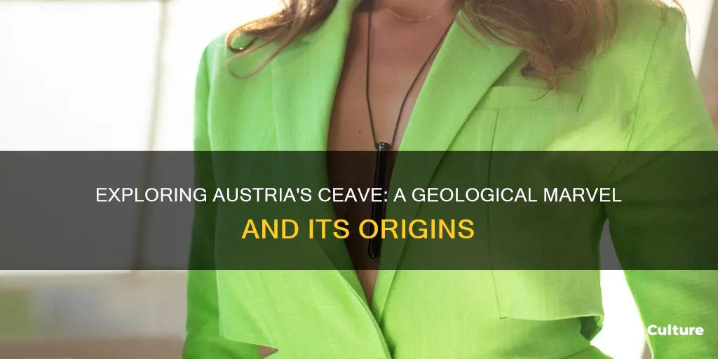 where in austria is ceave from