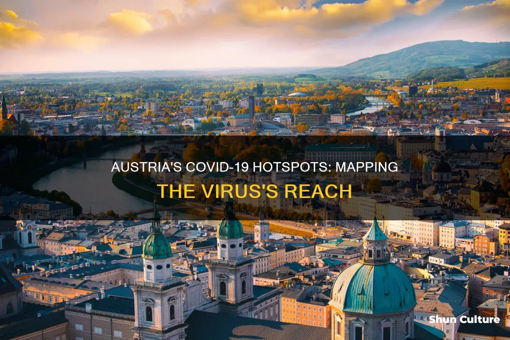 where in austria is coronavirus