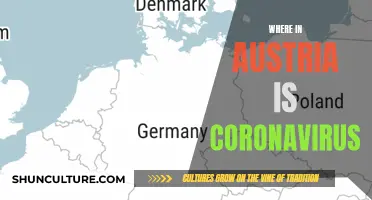 Coronavirus in Austria: Tracking the Outbreak