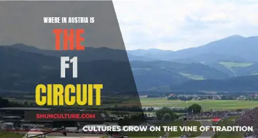 Austria's F1 Circuit: A Location Guide