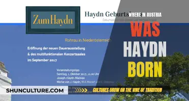 Haydn's Birthplace: Unveiling the Austrian Village