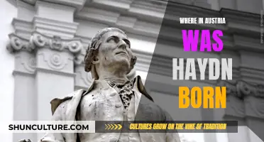 Haydn's Birthplace: Exploring Austrian Roots