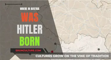 Hitler's Austrian Birthplace: A Historical Perspective