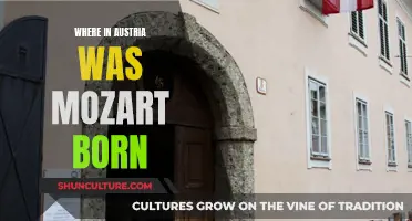 The Birthplace of Mozart: Unveiling Austria's Musical Legacy