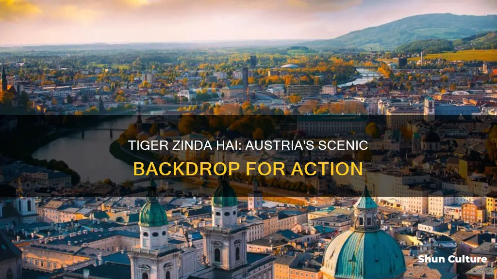 where in austria was tiger zinda hai shot