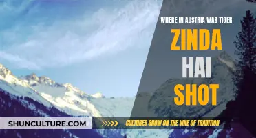 Exploring Austria's Tiger Zinda Hai Filming Locations