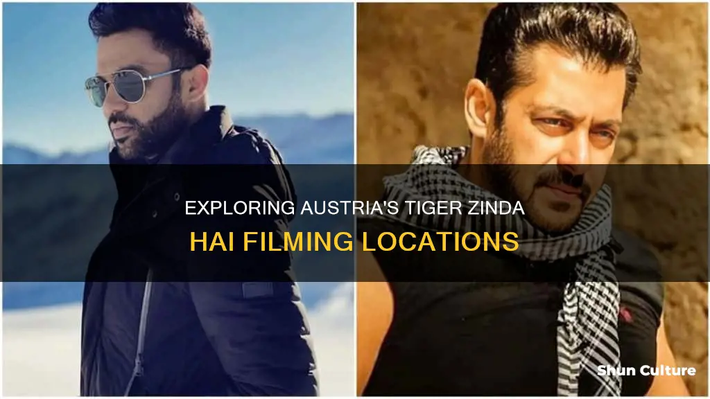 where in austria was tiger zinda hai shot