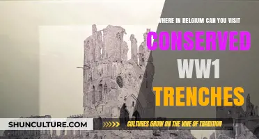 Exploring Belgium's Preserved WWI Trenches: A Historical Journey