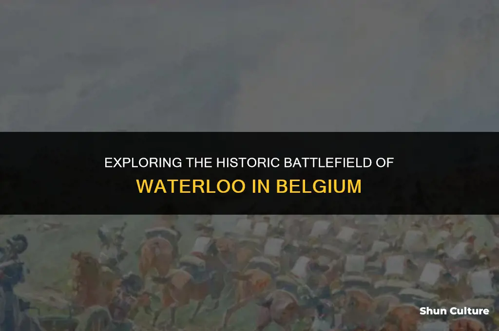 where in belgium did the battle of waterloo take place