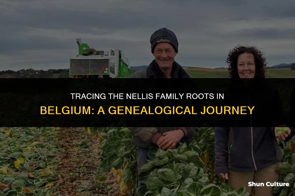 where in belgium did the nellis family come from